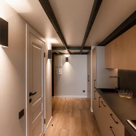 Modernus Loftas Kalvariju Gatveje Vilnius